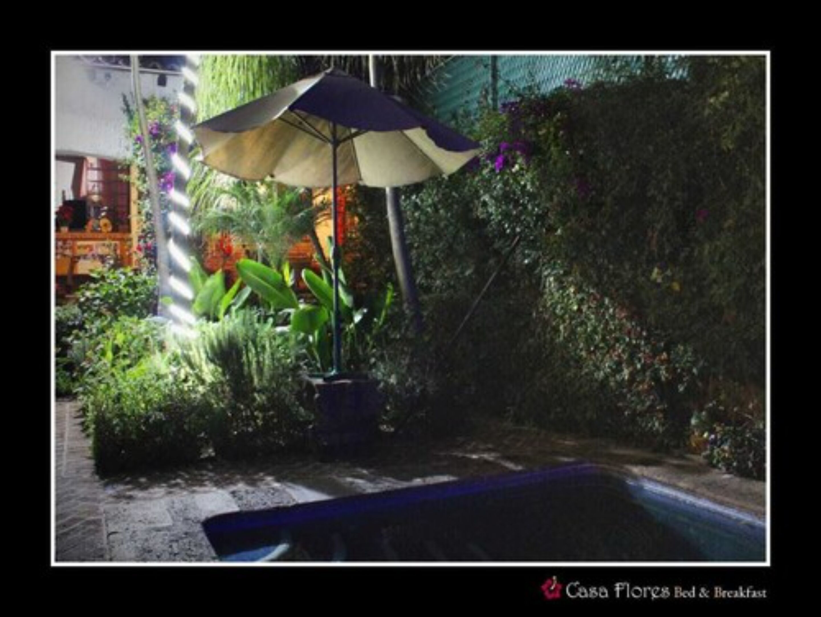 Ein Patio mit einer großen Sonnenschirm, üppigem Grün und einem kleinen Pool.