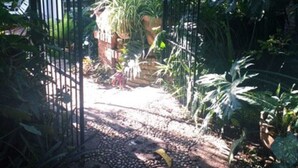 A garden pathway leading to a gated entrance surrounded by lush greenery and plants. - Casa Flores Bed & Breakfast (Ajijic)