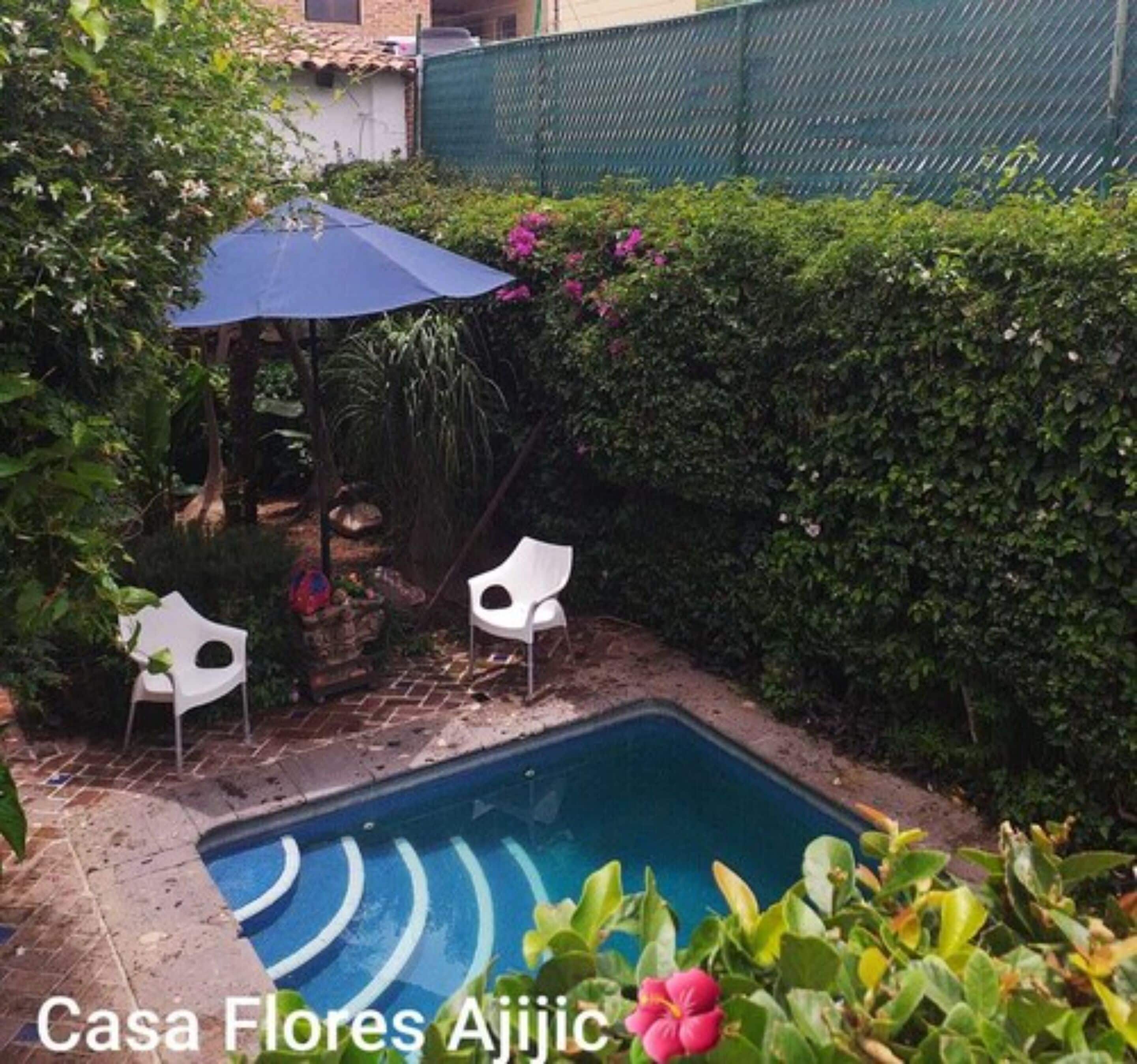 Un petit jardin avec une piscine, deux chaises en plastique blanches, un parasol bleu et une végétation luxuriante.