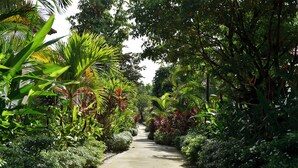 Un sendero bordeado de abundante vegetación y diversas plantas.