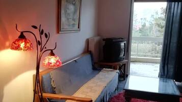 DVD player, music library, stereo