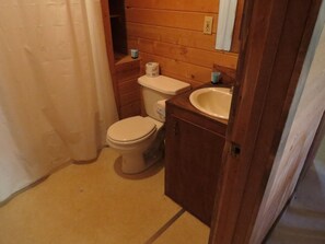 タオル、石鹸、シャンプー、トイレットペーパー