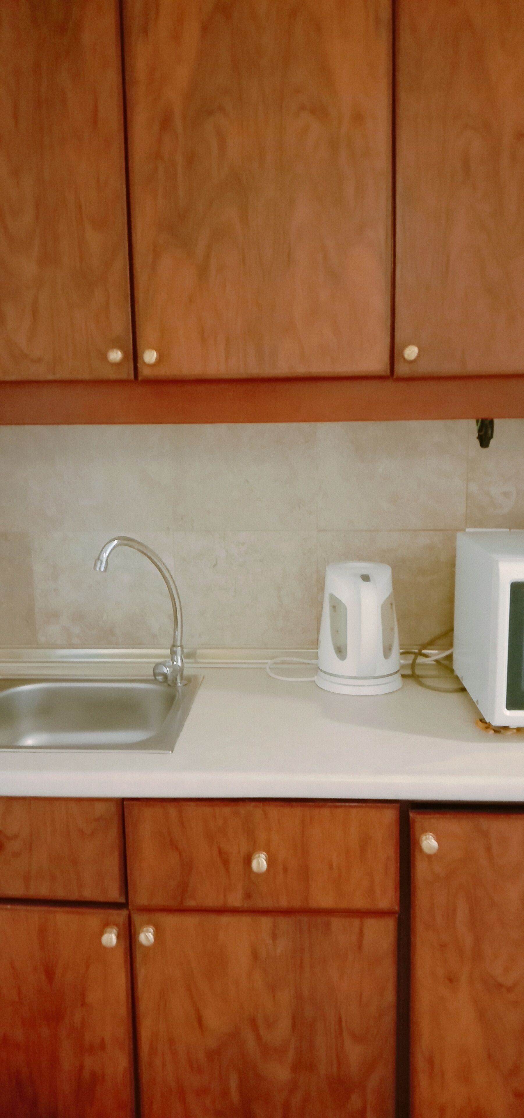 华丽开间套房 | 私人简易厨房 | 迷你冰箱、微波炉、洗碗机、电热水壶