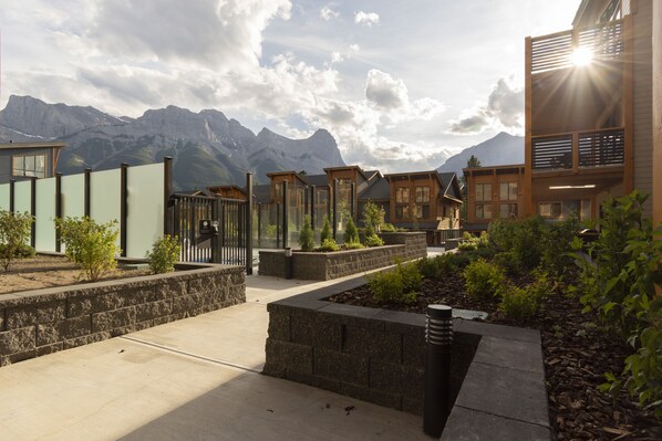 Terrain de l’hébergement 