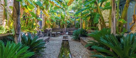 A lush garden with a central water feature, surrounded by banana trees and ferns.