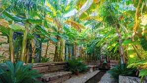 A lush indoor garden with a variety of tropical plants, a small water feature, and a rustic stone wall. - Alacati Aura Plus (Cesme)