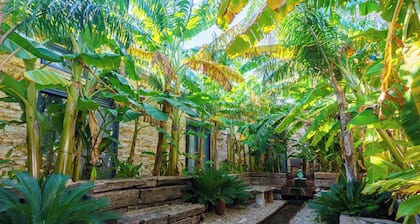 Alacati Aura Plus