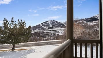 Terrain de l’hébergement