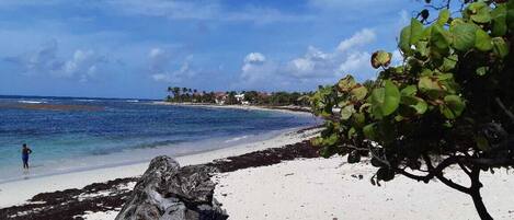 Accommodatie ligt op het strand, ligstoelen, strandlakens