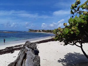 Plage, chaises longues, serviettes de plage