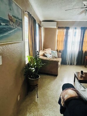 A living room with a sofa, a coffee table, a potted plant, and a painting on the wall. - Cozy Caribbean Home Near Beaches (Christiansted)