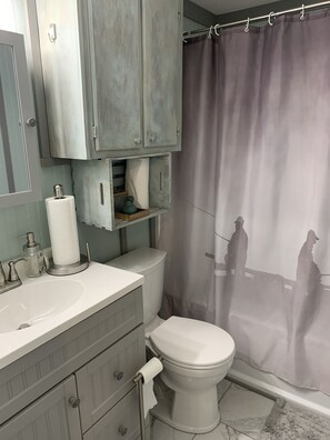 Duschwanne, Haartrockner, Handtücher, Seife