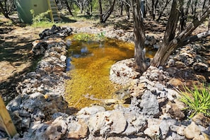 A natural outdoor setting with a small pond surrounded by rocks and sparse vegetation.