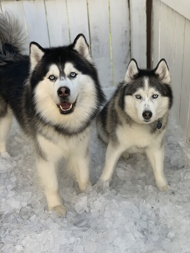 omg here we gooooooo