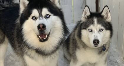 omg here we gooooooo