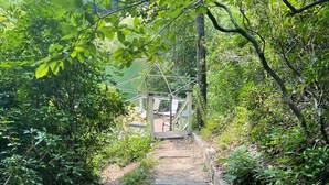 A forested path leading to a wooden deck with chairs and a table.
