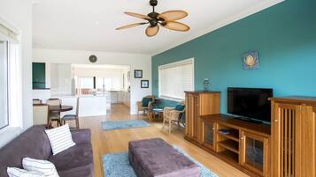 Smart TV, fireplace, video games, DVD player
