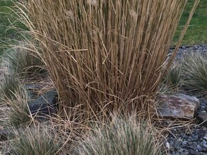 Photo non classée, 3 sur 34, bouton