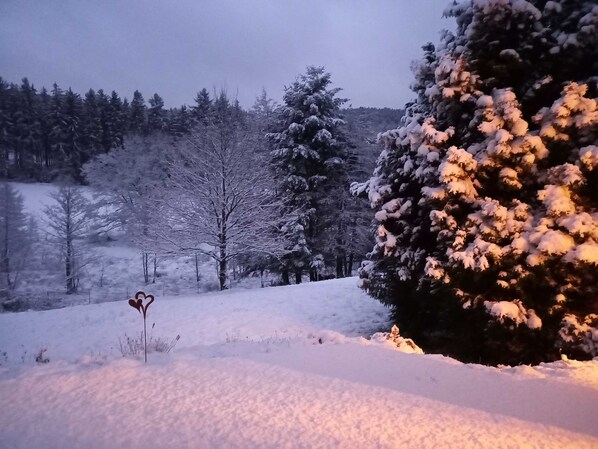 Unclassified image, 1 of 33, button