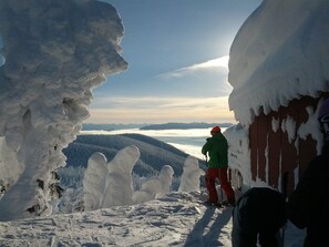 Uklassifisert bilde, 3 av 38, knapp