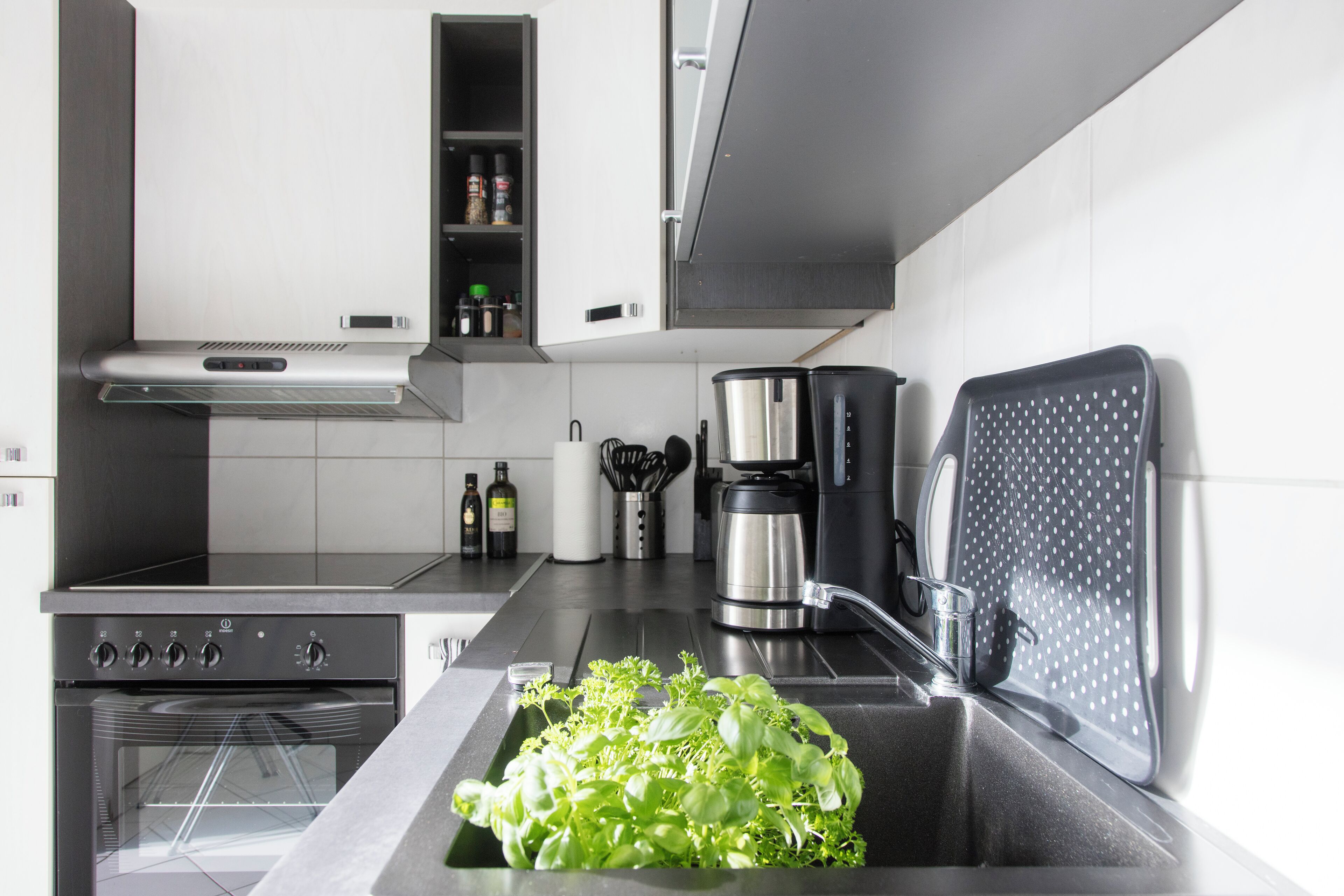 Kühlschrank, Ofen, Herdplatte, Geschirrspüler