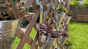 Un jardín con macetas metálicas que contienen diversas plantas.
