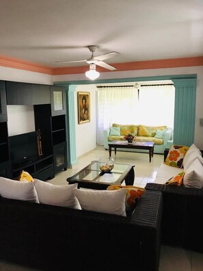 Smart TV, Netflix, streaming services