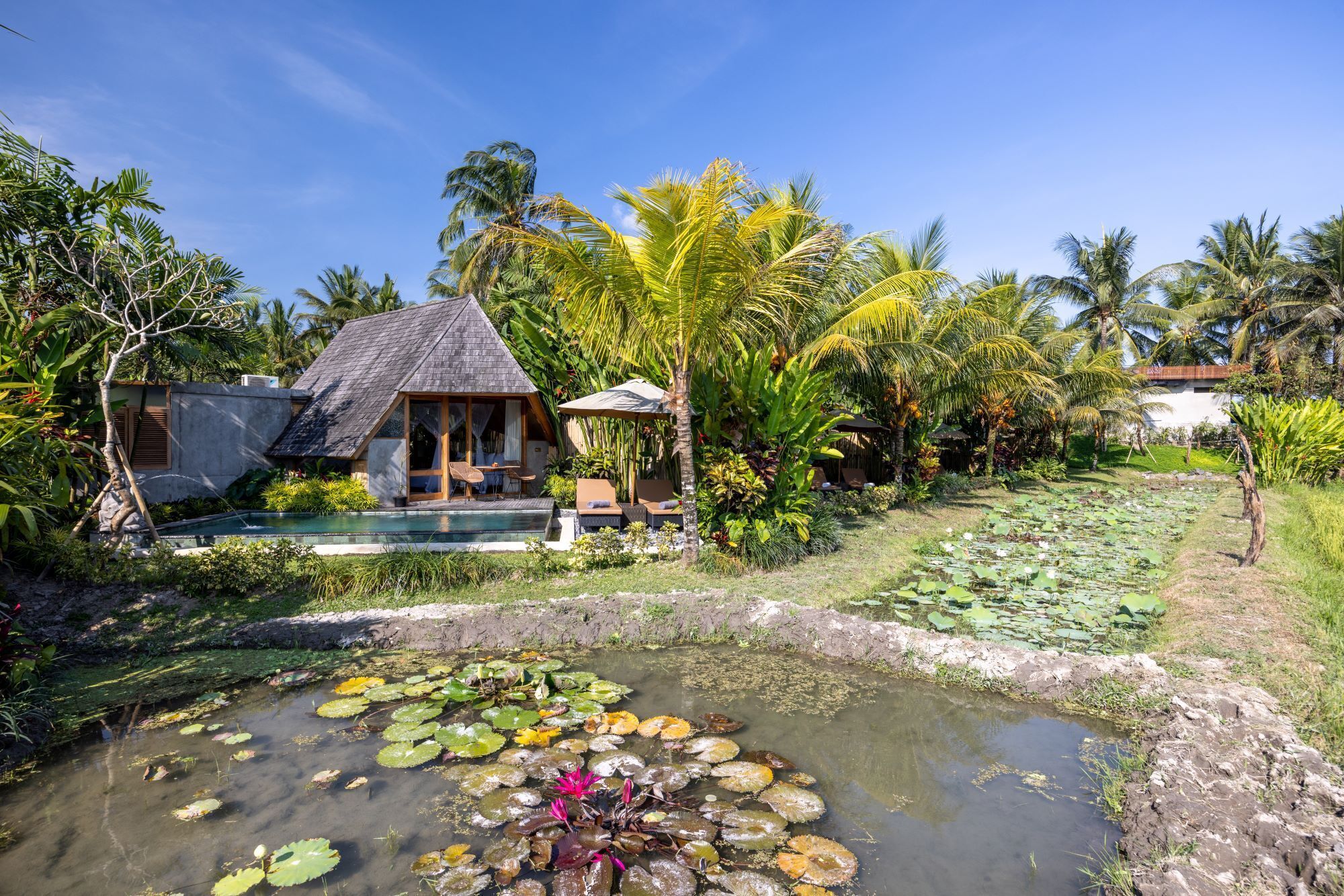 Pemandangan dari properti