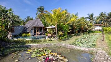 Pemandangan dari properti