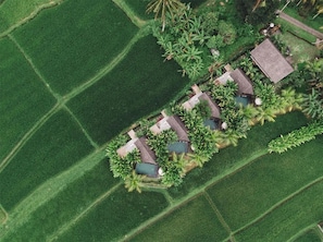 Vue sur le jardin