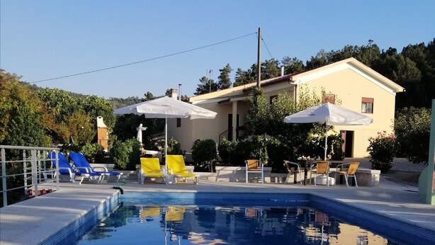 Une piscine entourée d’un bâtiment et d’arbres, avec des chaises longues et des parasols.