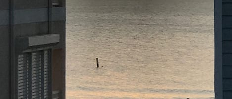Am Strand, Liegestühle, Strandtücher
