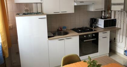 Appartement T3 Centre Ville
