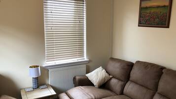 Smart TV, fireplace, DVD player, books