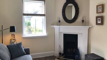 Smart TV, chimenea, reproductor de DVD, libros
