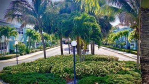A well-maintained roadside with a roundabout, palm trees, and neatly trimmed bushes.
