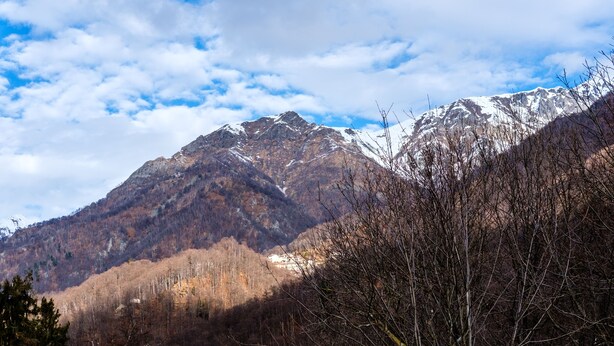 Un paisaje montañoso con picos nevados, un valle con pocos árboles y un cielo despejado.