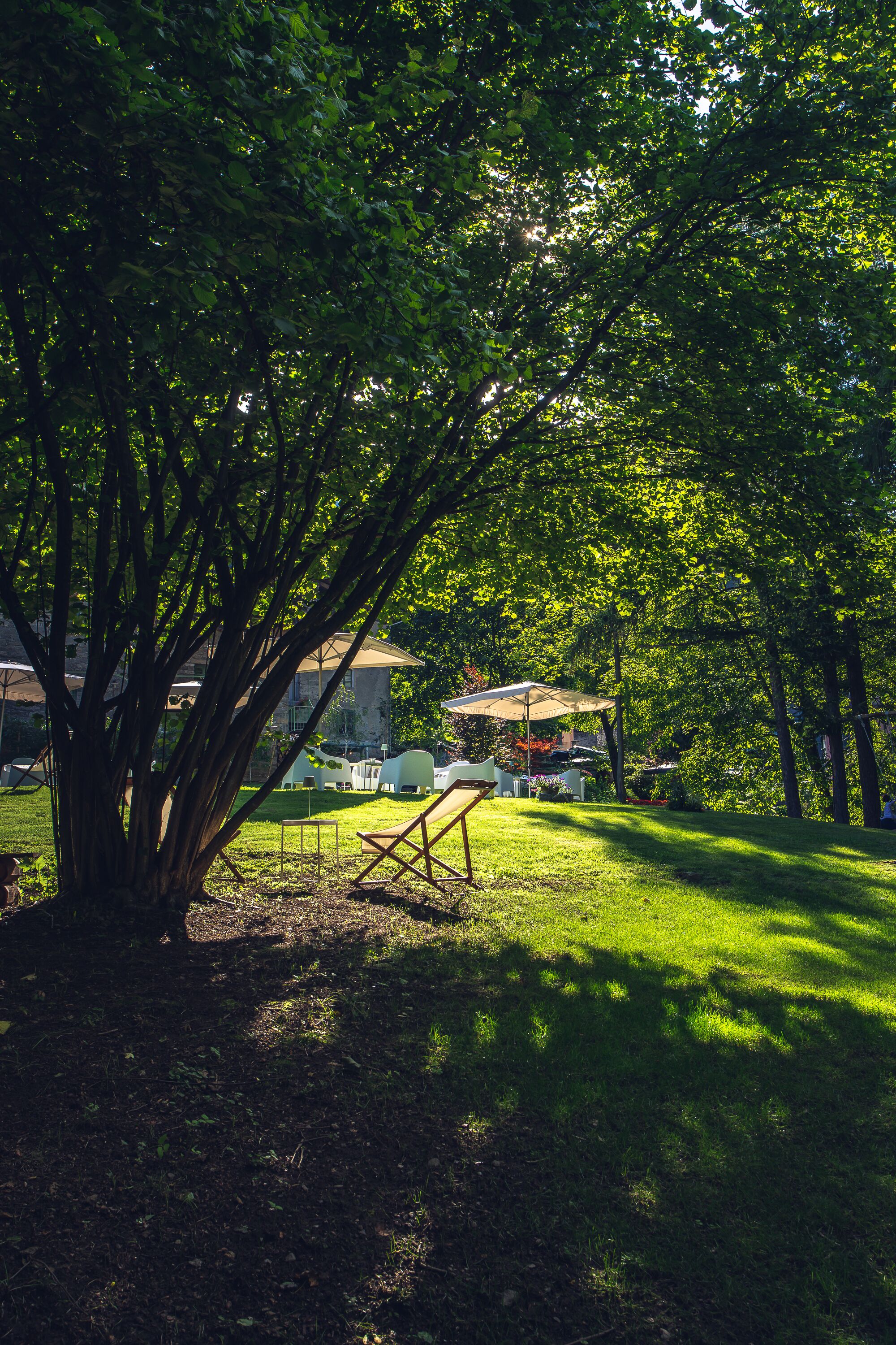 A park with a large tree, grassy areas, and a covered seating area.