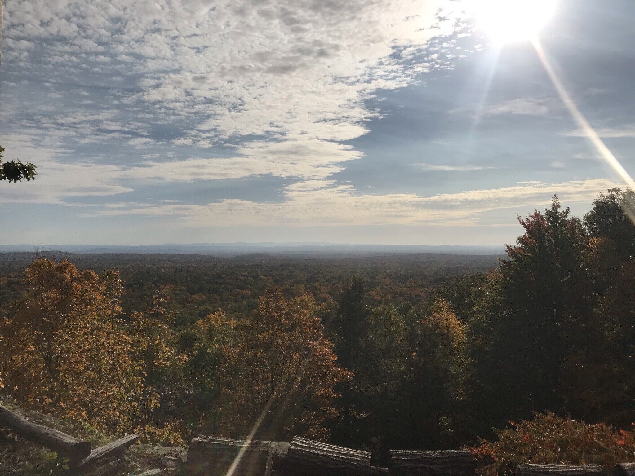 Vista de un paisaje boscoso con un horizonte lejano y cielo despejado.