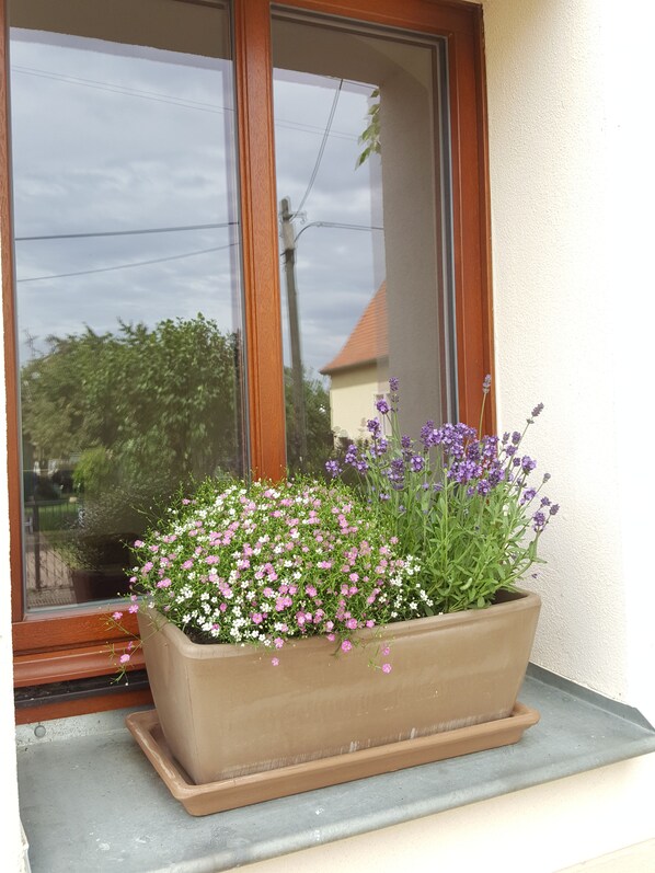 Flowers bloom in a window box planter on a balcony.