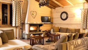 Televisión, chimenea y libros