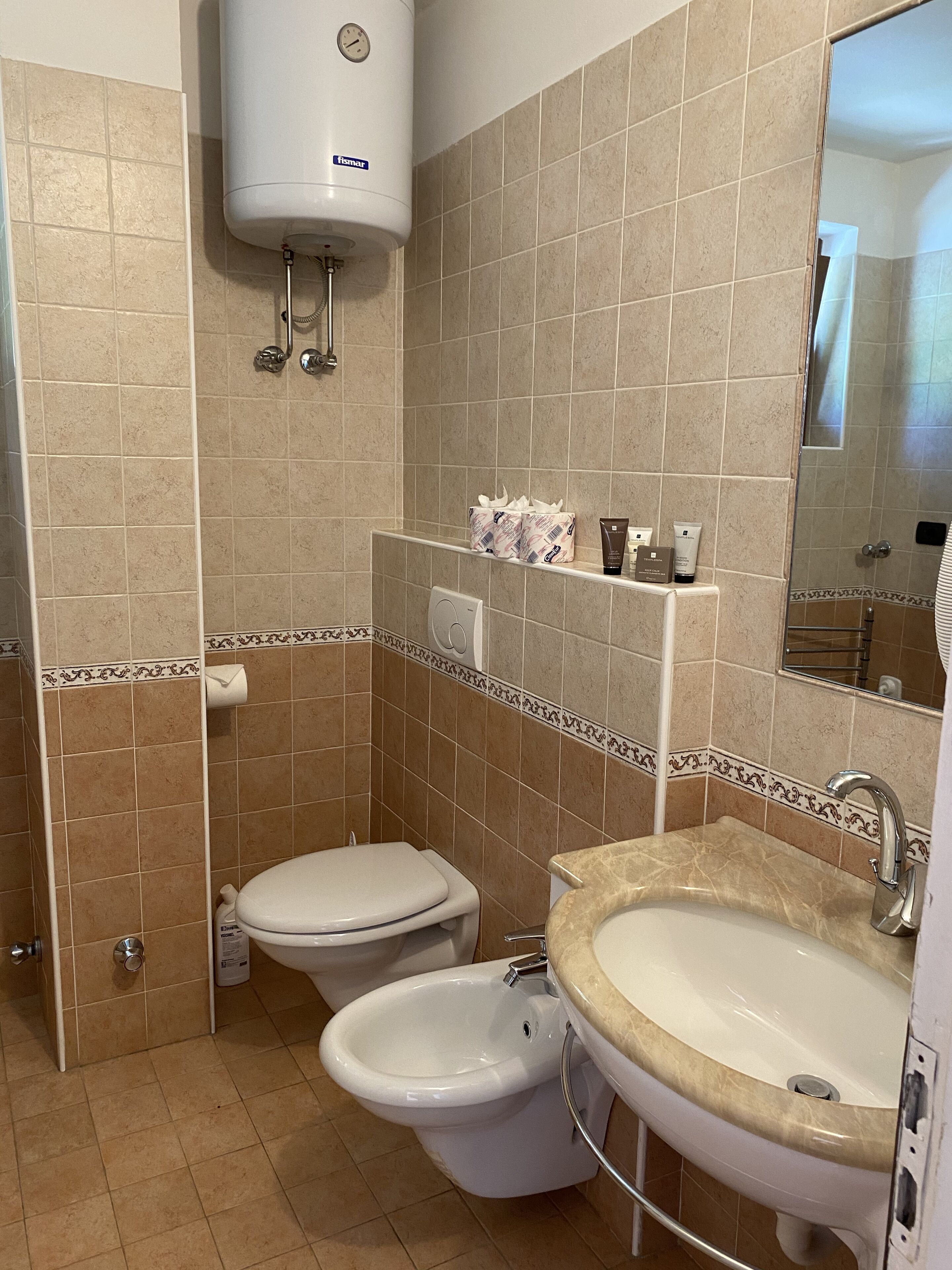 Shower, hair dryer, bidet, towels