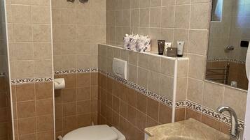 Shower, hair dryer, bidet, towels