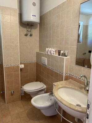 Regadera, secadora de cabello, bidet, toallas