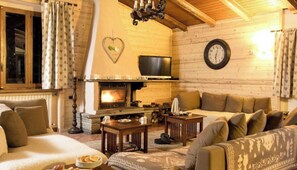 TV, fireplace, books
