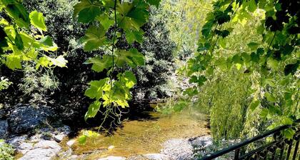 Maison les pieds dans l'eau...