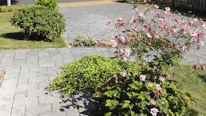 A paved pathway leading to a wooden fence, surrounded by lush greenery and flowering plants.