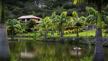 Danau