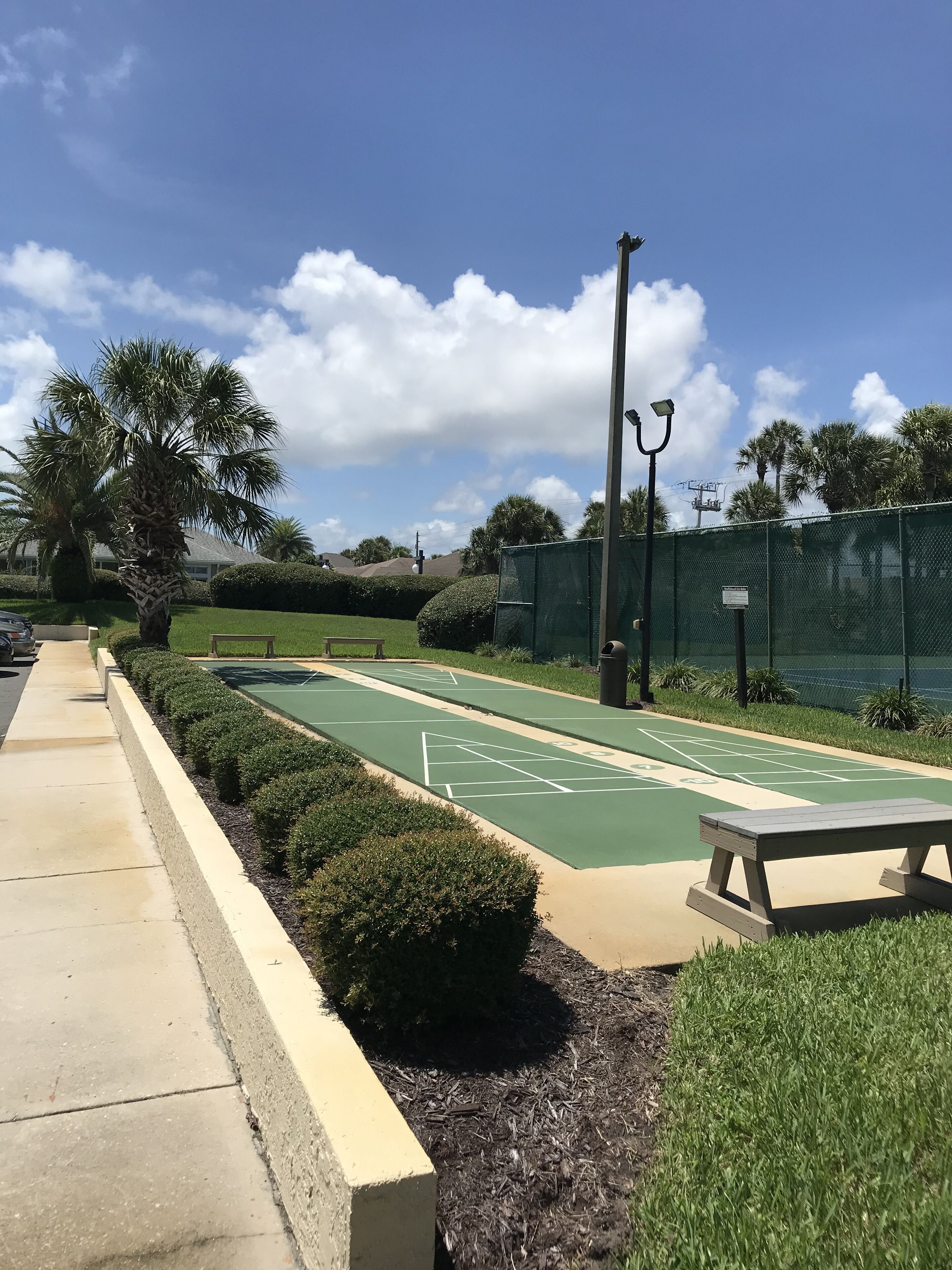 Shuffleboard 