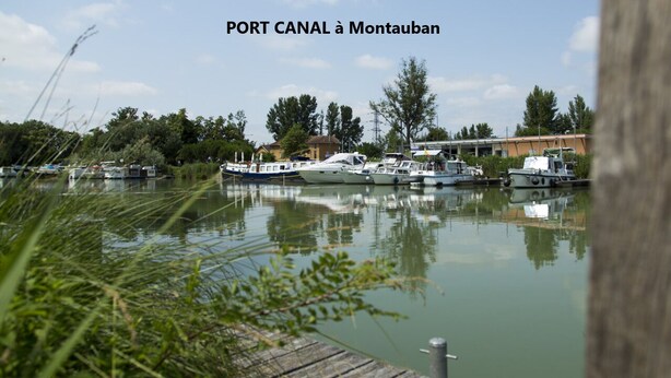 Een rustig water met boten afgemeerd in een haven, omringd door groen en gebouwen.